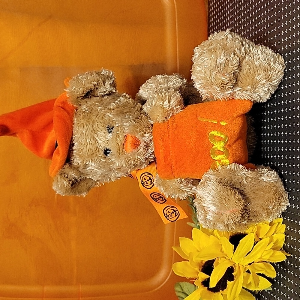 Vintage Halloween Boo Bear Witch Plushy Stuffed Animal